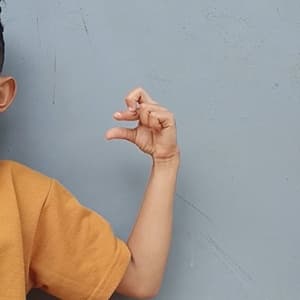 8_dzal