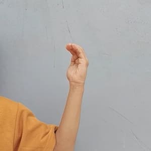5_ha