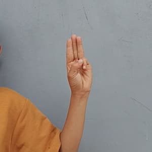 3_tsa